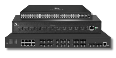 Immunity L3 Netforce